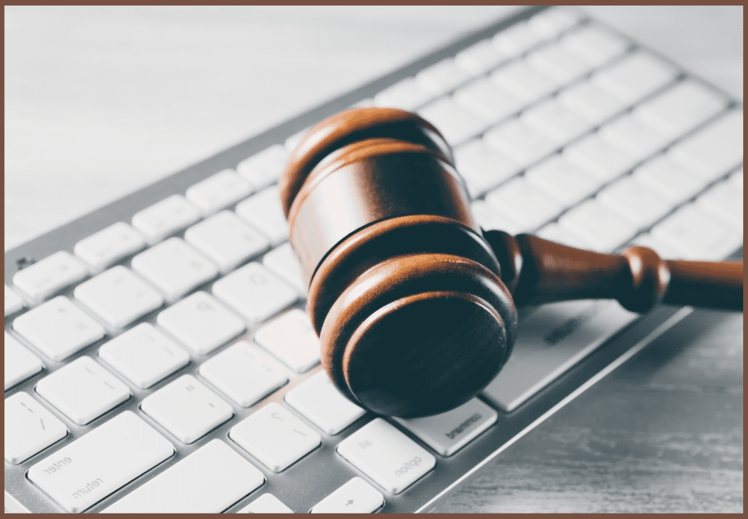 E-Prison Report: Digitally Connecting the Prison Premises-Report
