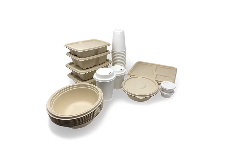 Greening Your Brand: Sustainable Food Packaging in Compliance with US & EU Rules