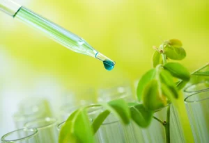 Green Hydrogen Report
